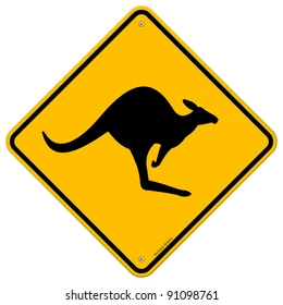 canguro australiano 1
