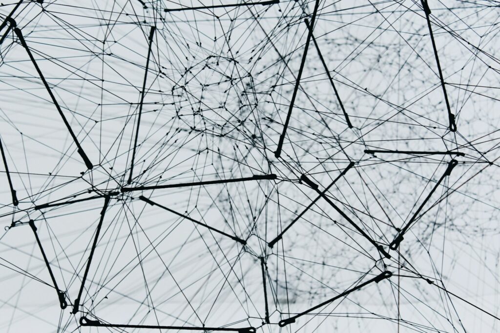 immagine con fondo grigio con tante linee che si vanno unire a formare una connessione che va a rappresentare il legame del pubblico